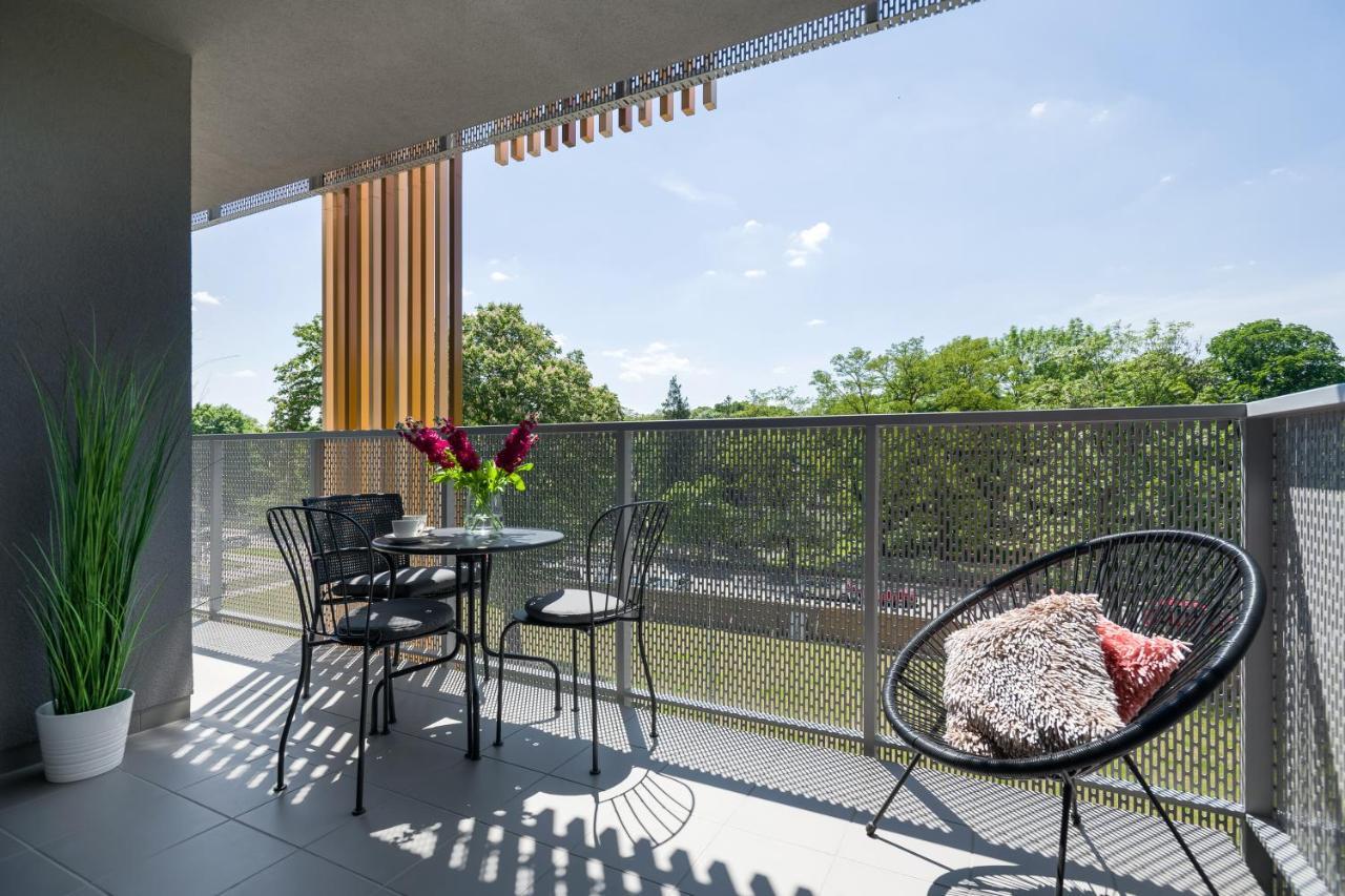 Golden Star Apartment 克拉科夫 外观 照片