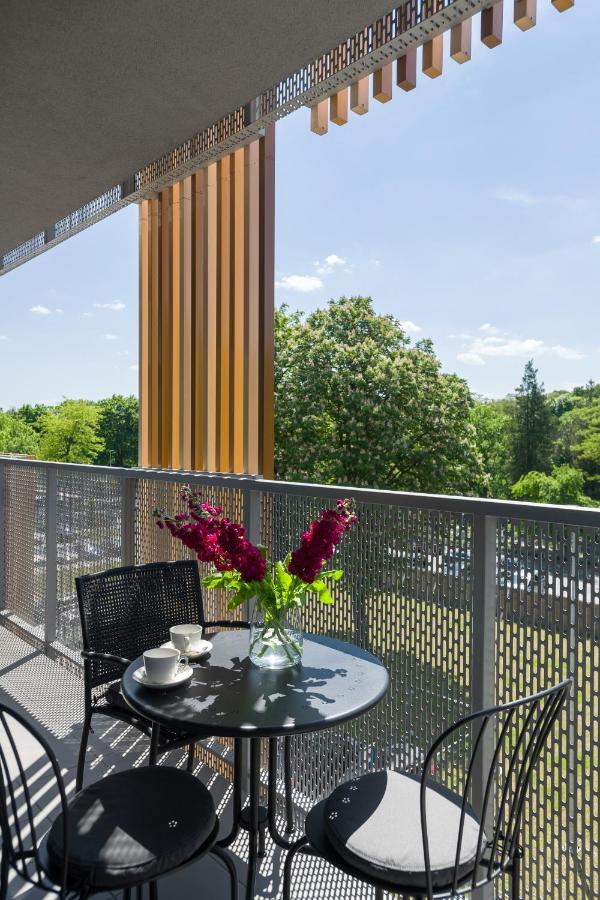 Golden Star Apartment 克拉科夫 外观 照片